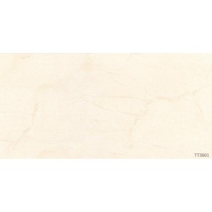 Gạch ốp tường Trường Thịnh WALL TILES TT3601